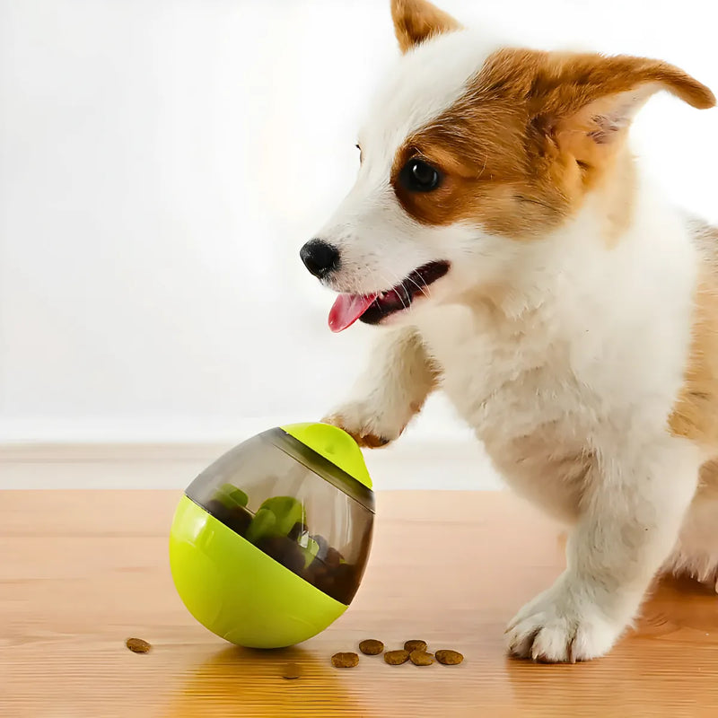 Brinquedo Interativo Para Cães com Dispense para Petisco