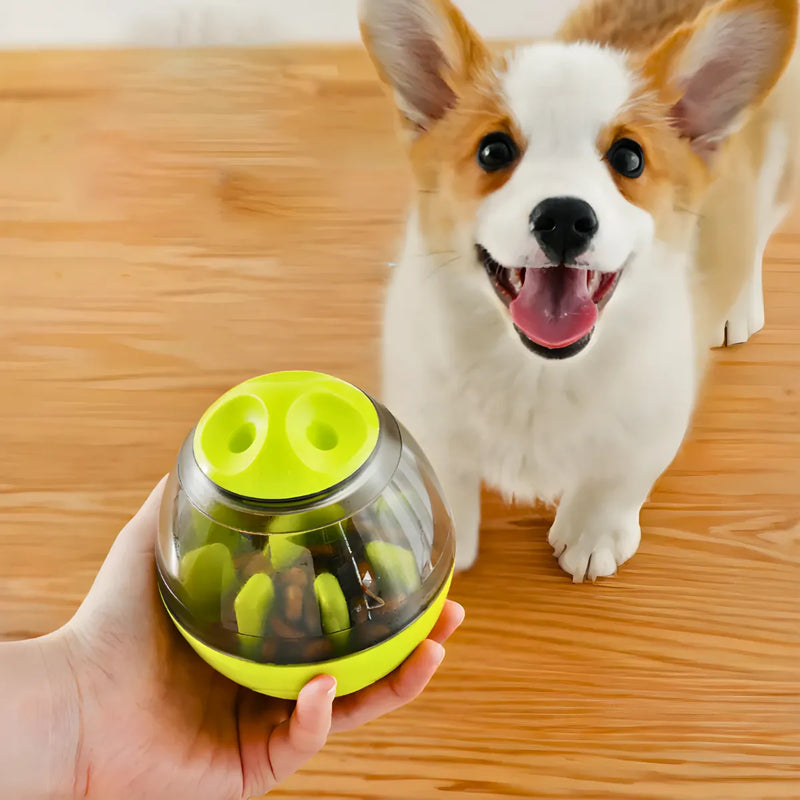 Brinquedo Interativo Para Cães com Dispense para Petisco
